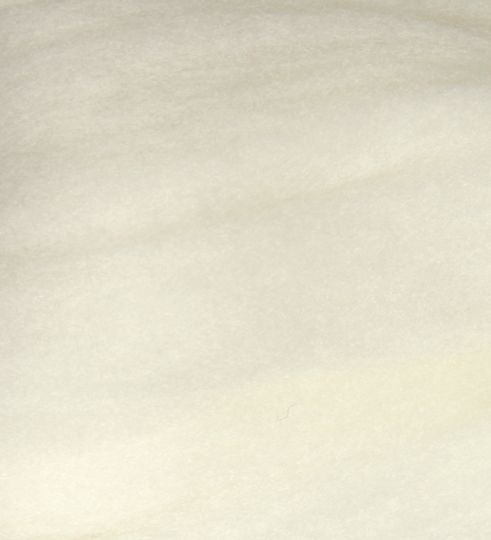 Ruban peigné Polwarth blanc