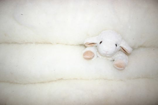 Wolle für Duvets und Kissen